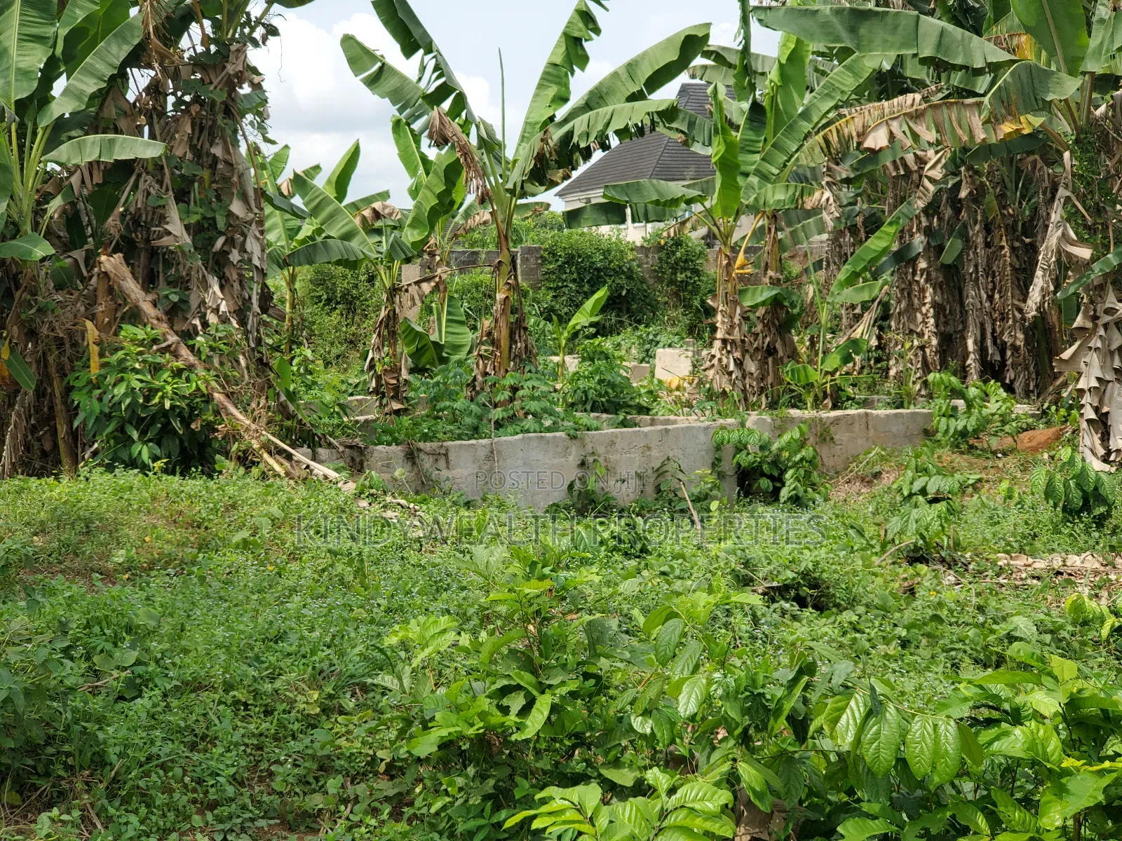 Land for Sale in Benin City
