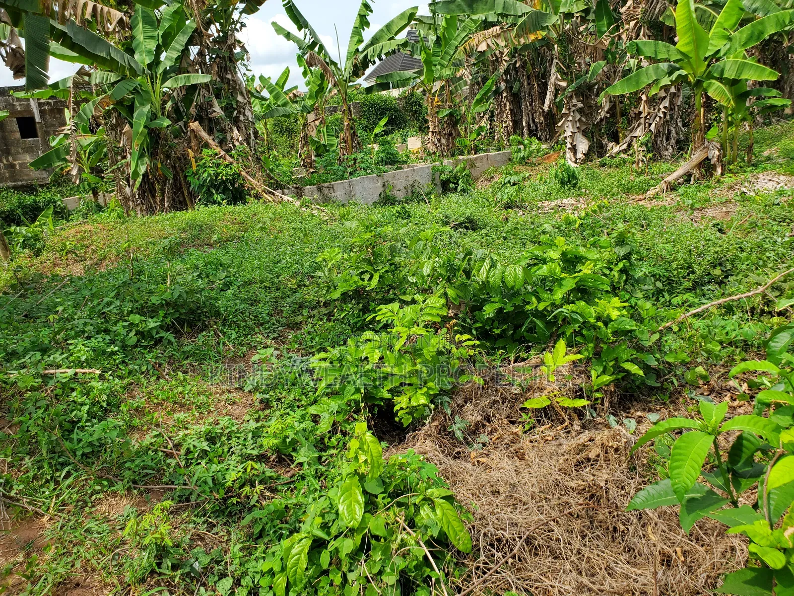Land for Sale in Benin City