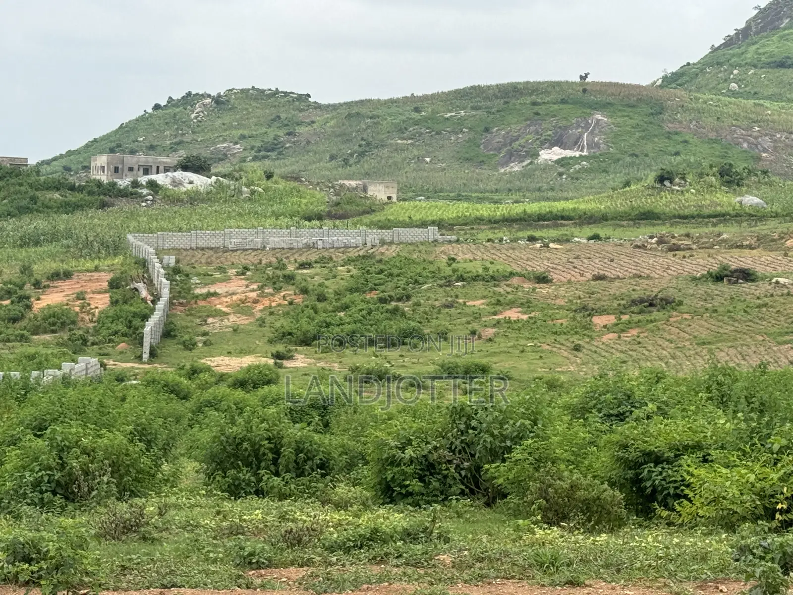 Kabusa- Sherrete District 500sqm in Burum