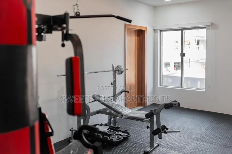 Fully Serviced 3 Bedroom Apartment With Gym, Ps5, Swimming Pool in Ikate