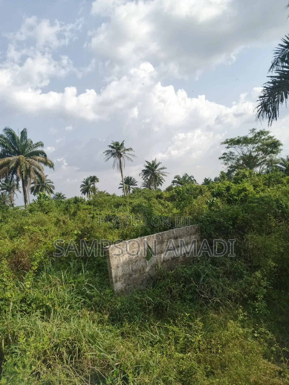 One and Two Plot of Land for Sale Within Airport Junction Off Omagwa in Omagwa