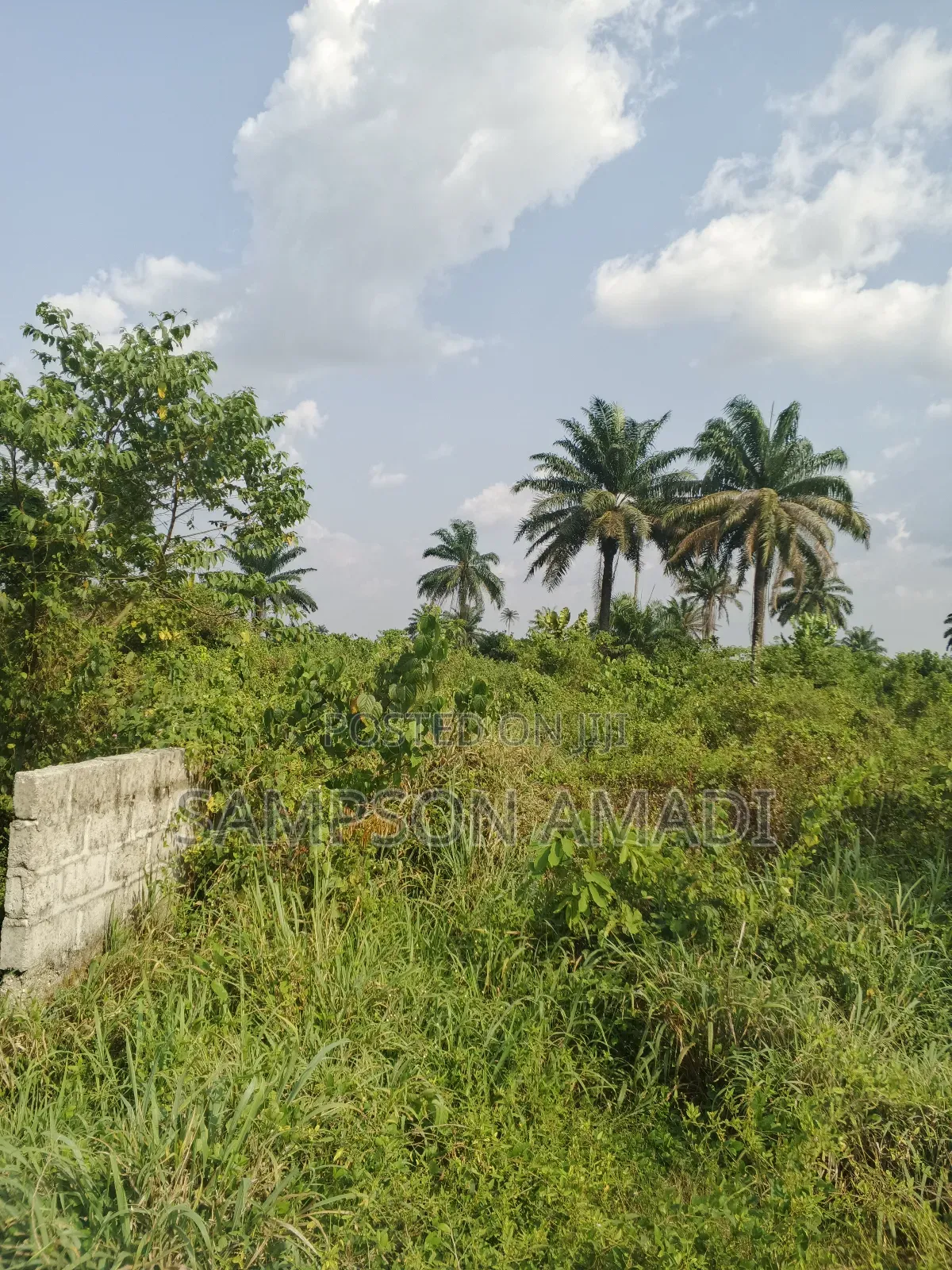 One and Two Plot of Land for Sale Within Airport Junction Off Omagwa in Omagwa