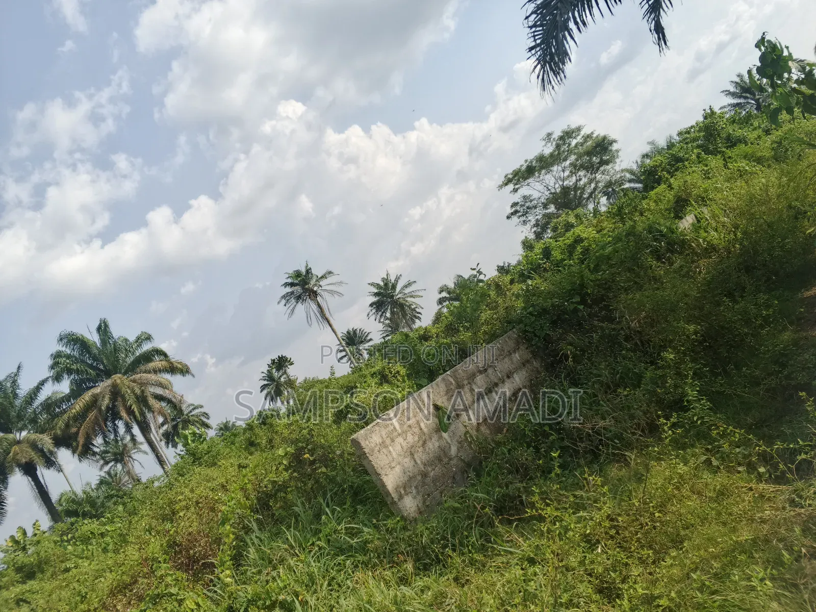 One and Two Plot of Land for Sale Within Airport Junction Off Omagwa in Omagwa