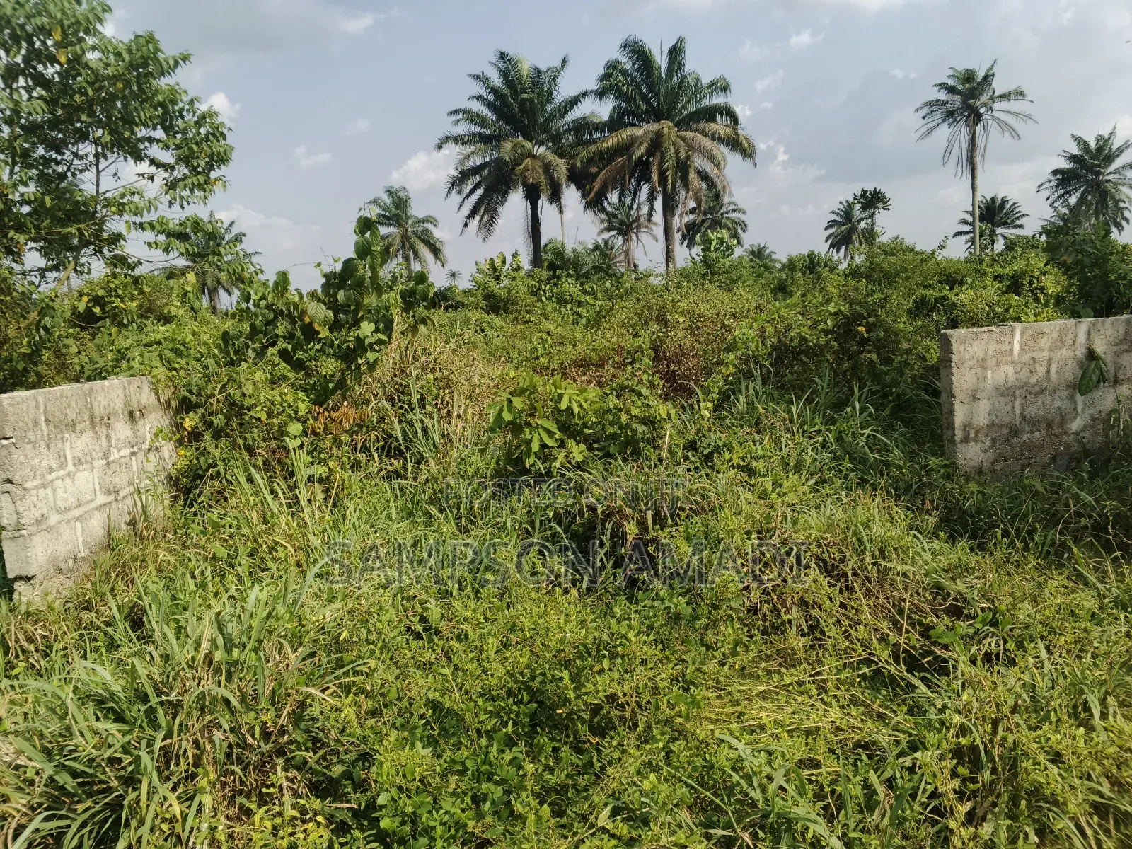 One and Two Plot of Land for Sale Within Airport Junction Off Omagwa in Omagwa