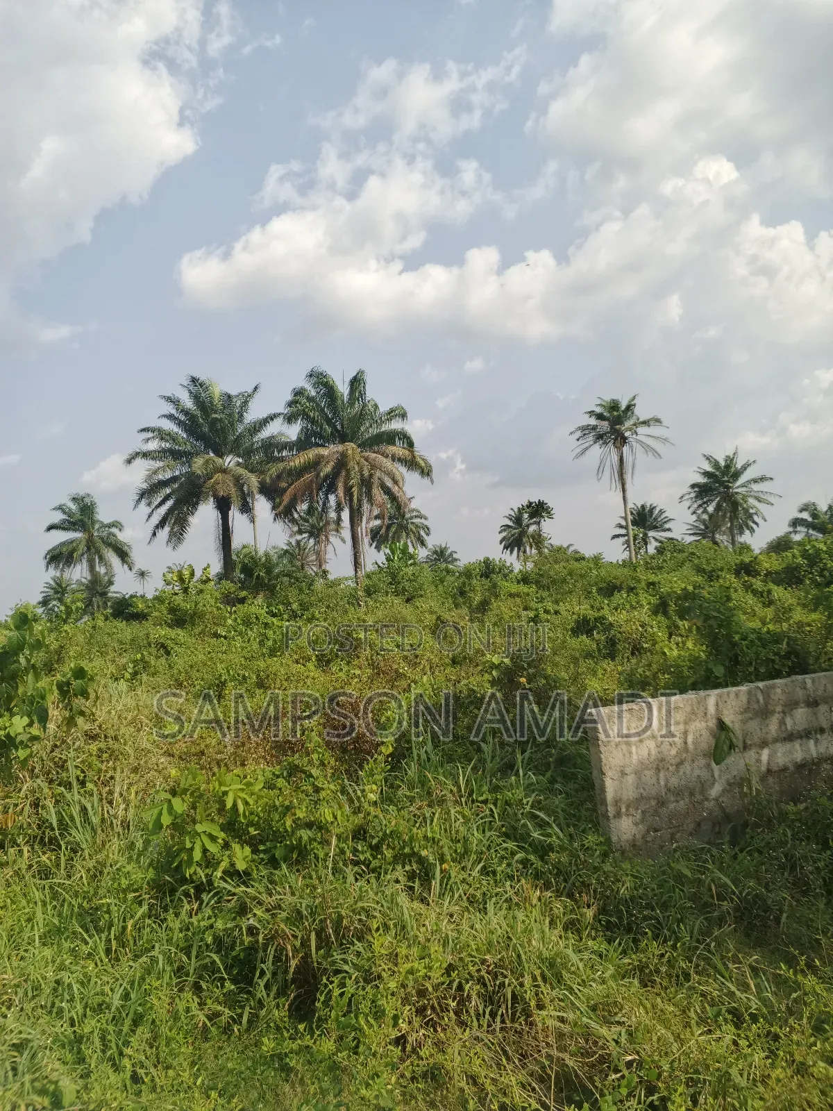 One and Two Plot of Land for Sale Within Airport Junction Off Omagwa in Omagwa
