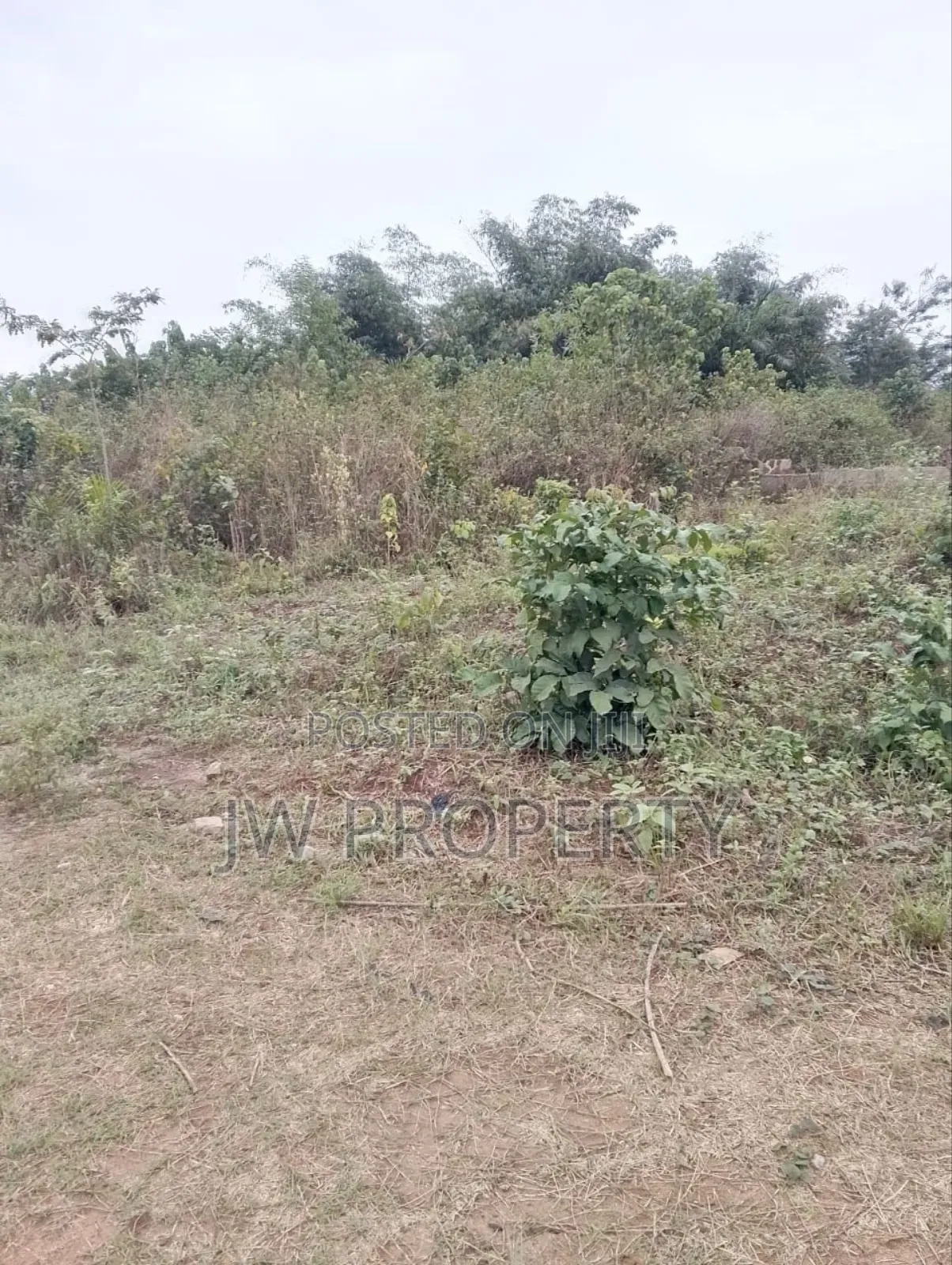 Family Receipt and Deed in Ewekoro