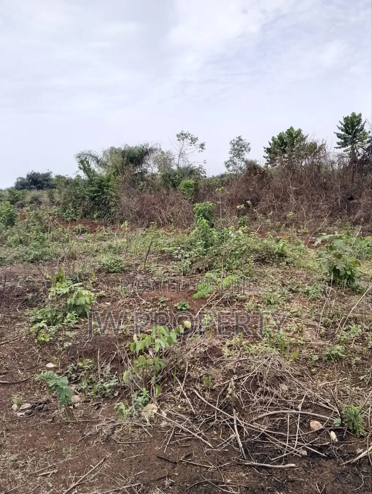 Family Receipt and Deed in Ewekoro