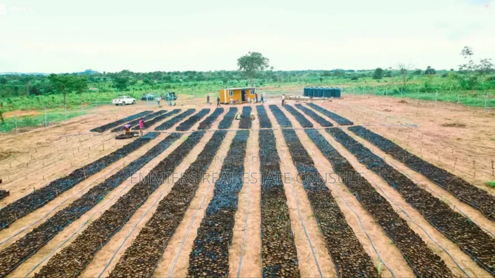 Palm City Farmland in Iseyin