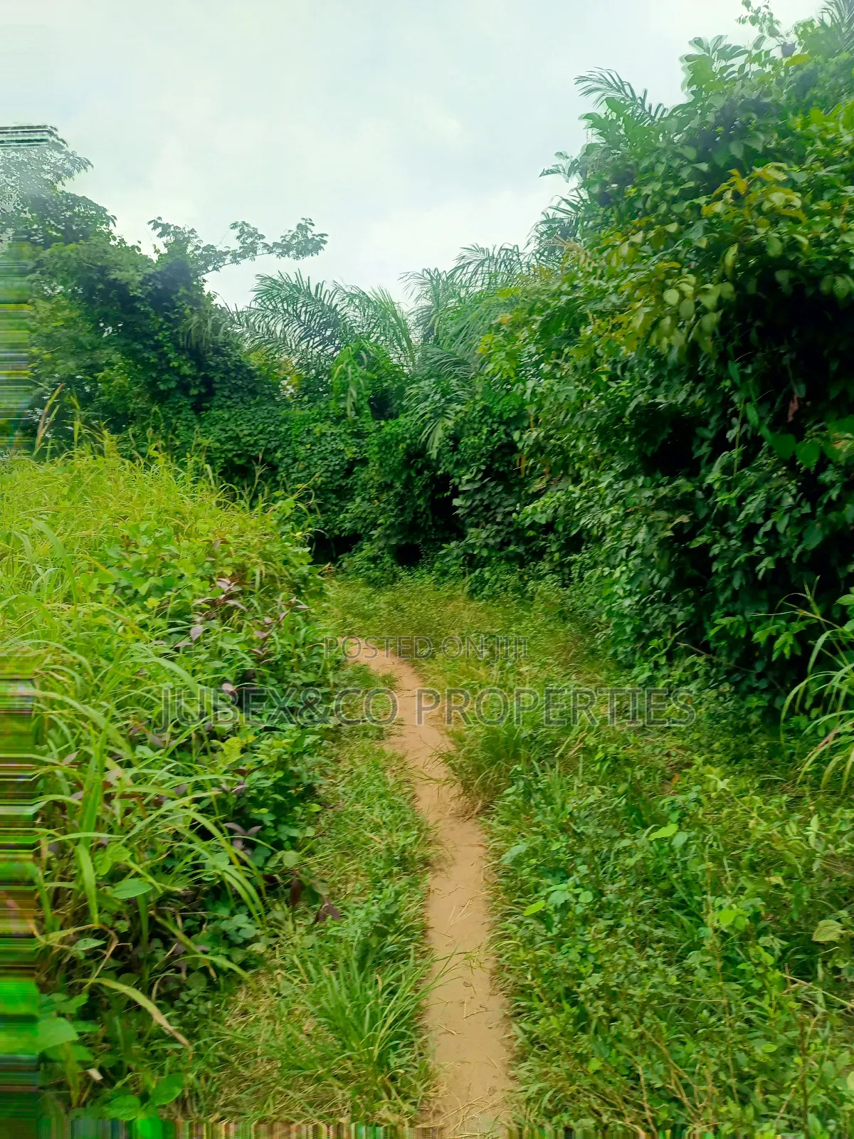Acres of Land at Obafemi Owode in Obafemi-Owode