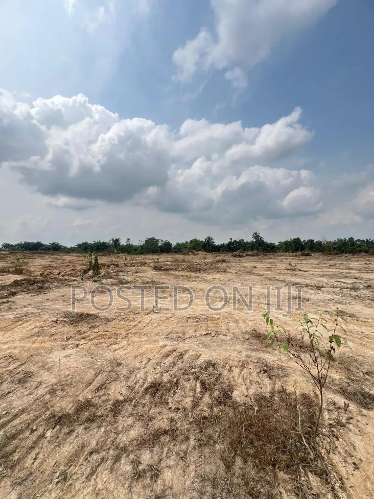 Dry Land for Sale in Epe | Long Term | Land Banking in Epe Road