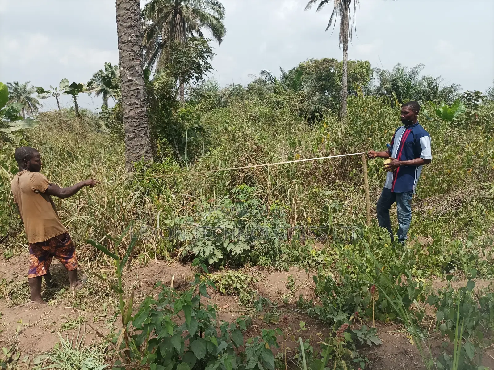 One Plot of Land (Of an Acre) in Ewekoro
