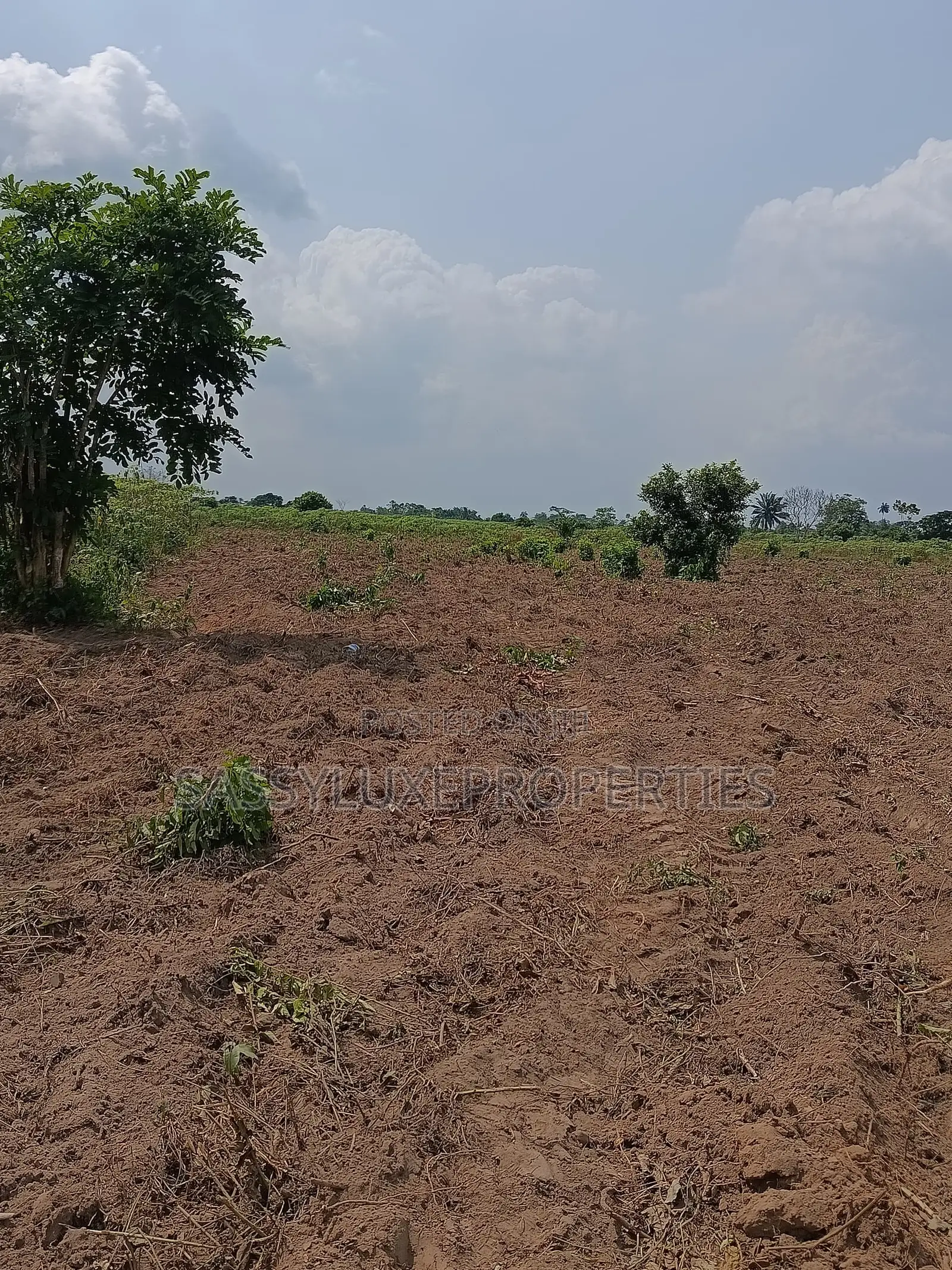 Land for Sale in Ijebu Ode