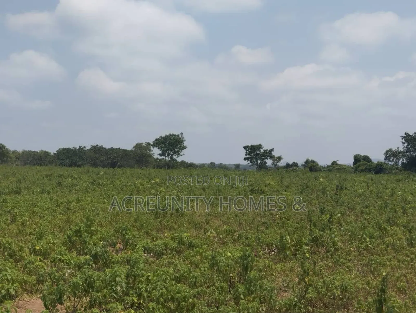 Prime Residential Land in Iseyin
