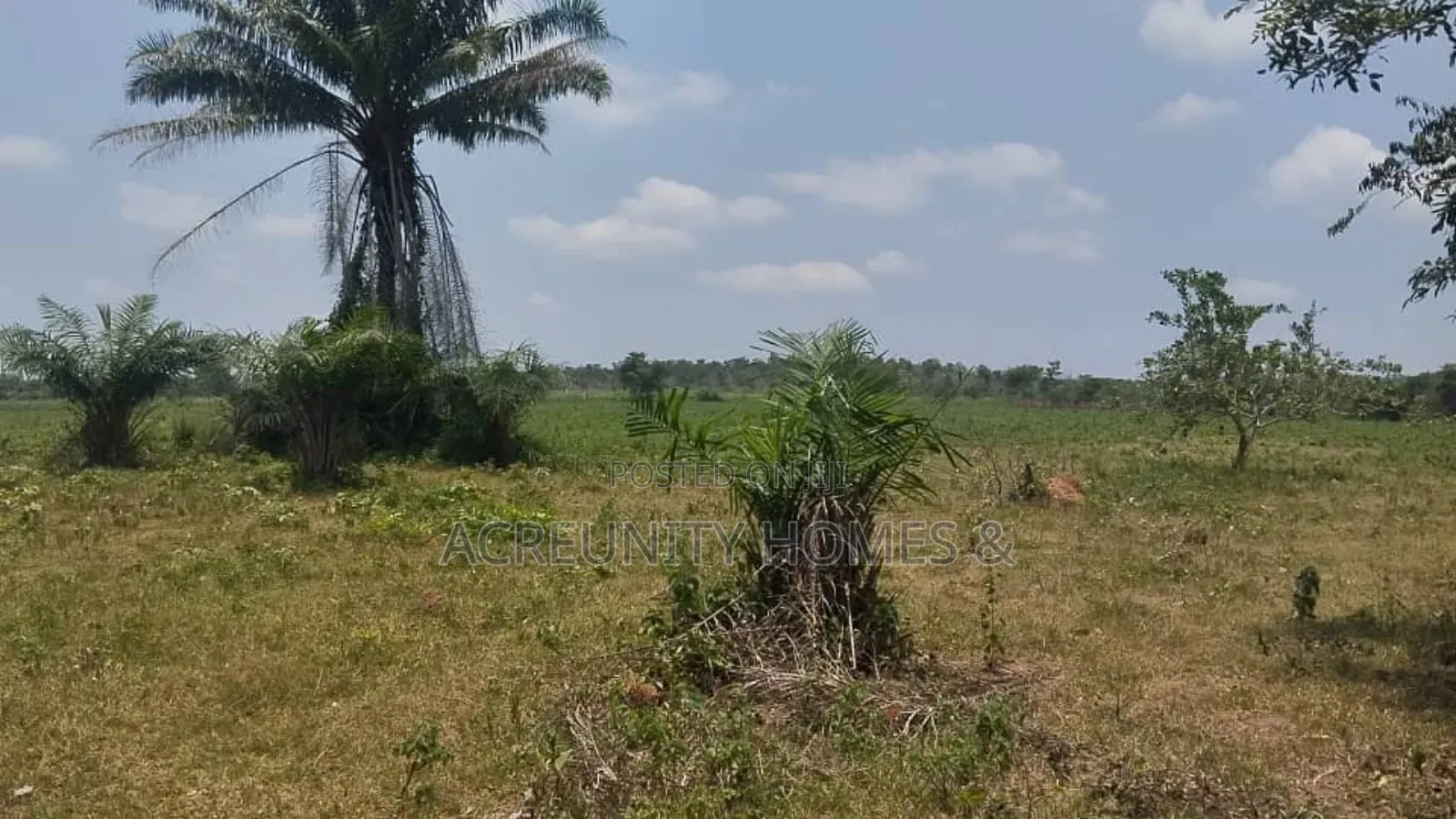 Prime Residential Land in Iseyin