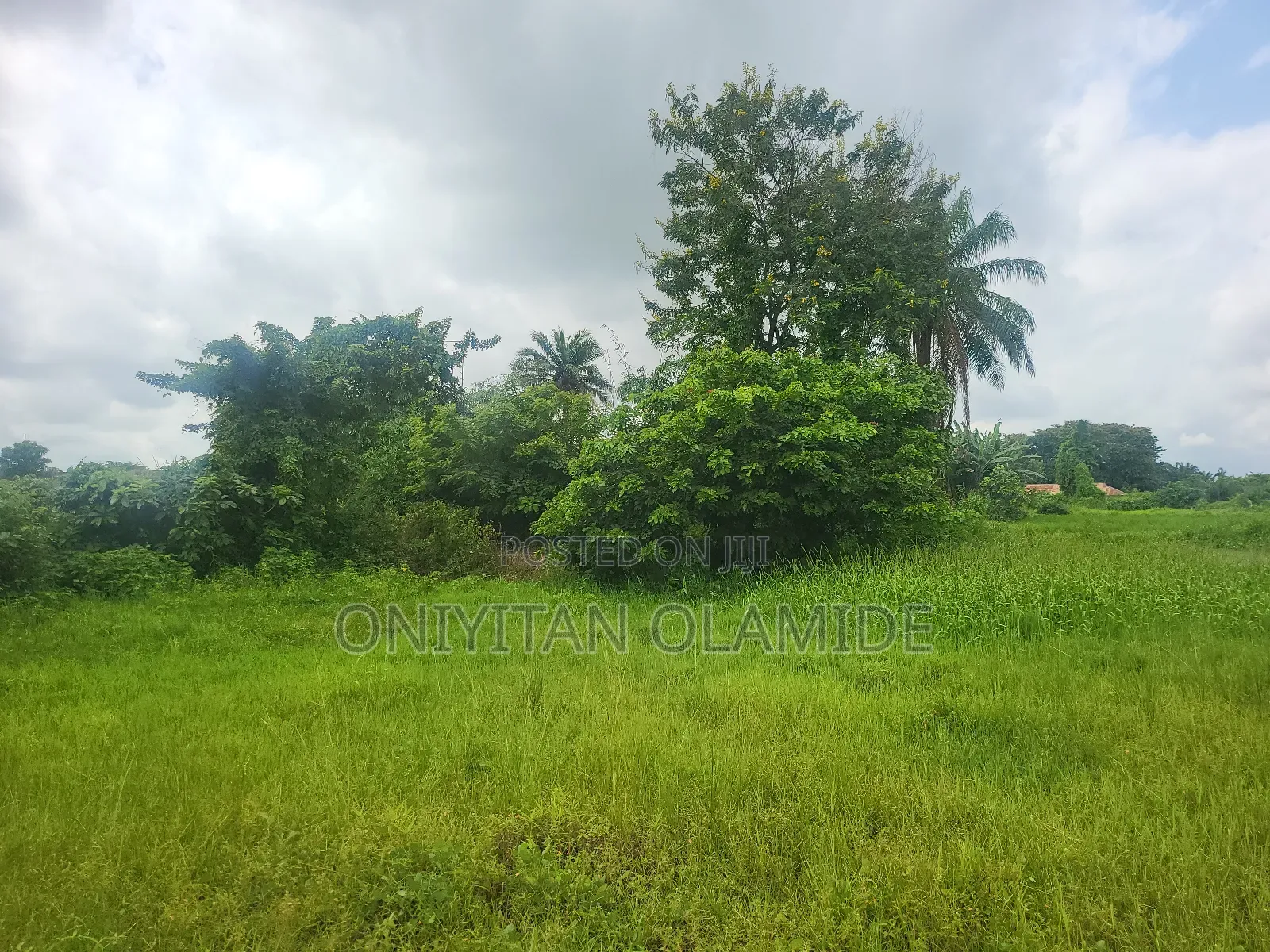 12.5 Hectares of Land Facing the Express. in Abeokuta North