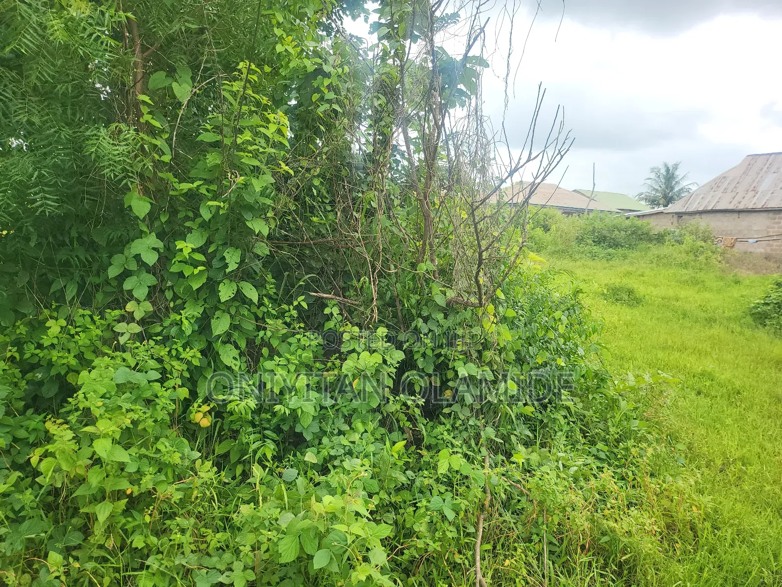 12.5 Hectares of Land Facing the Express. in Abeokuta North