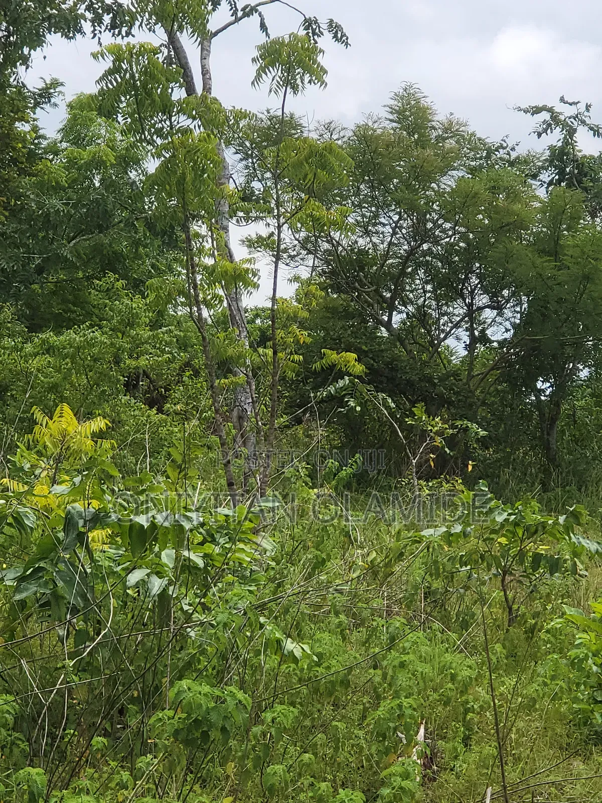12.5 Hectares of Land Facing the Express. in Abeokuta North