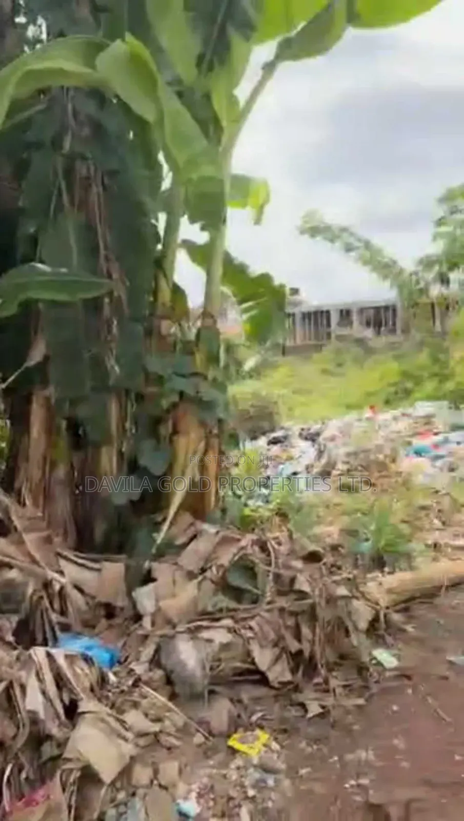 Well-Positioned Land in a High-Demand Location in Benin City