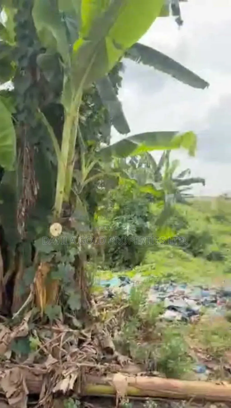 Well-Positioned Land in a High-Demand Location in Benin City