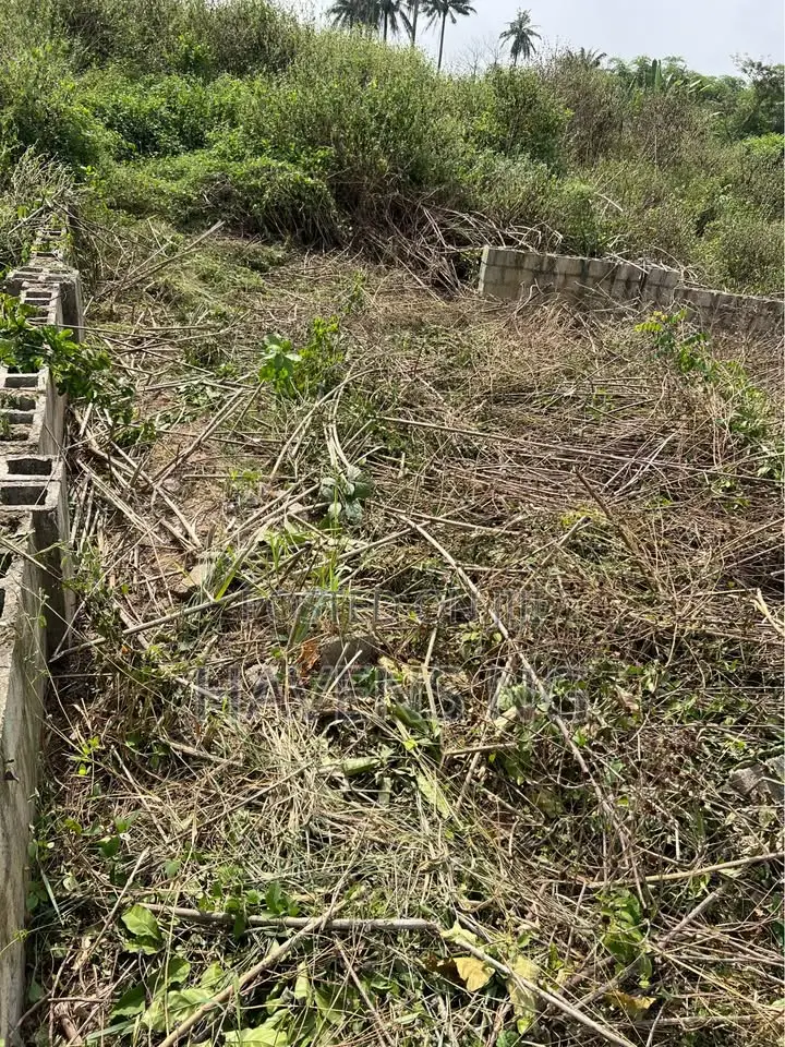 One Plot of Land Available for Sale Ologueru in Ido
