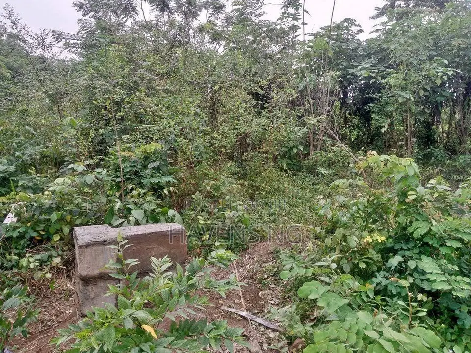 A Multipurpose Land at Ido in Ido