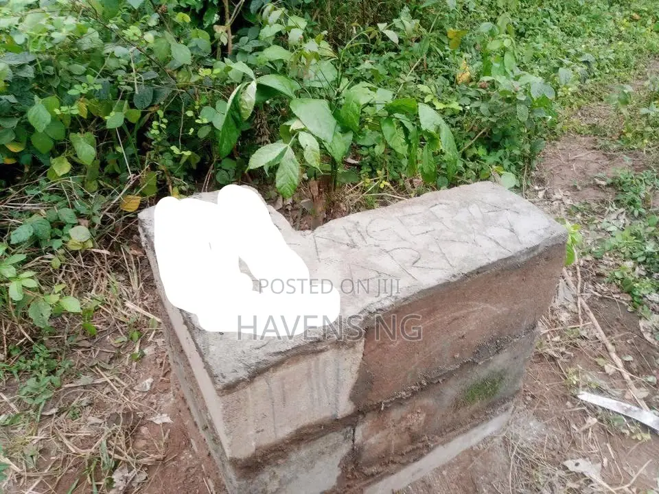 A Multipurpose Land at Ido in Ido