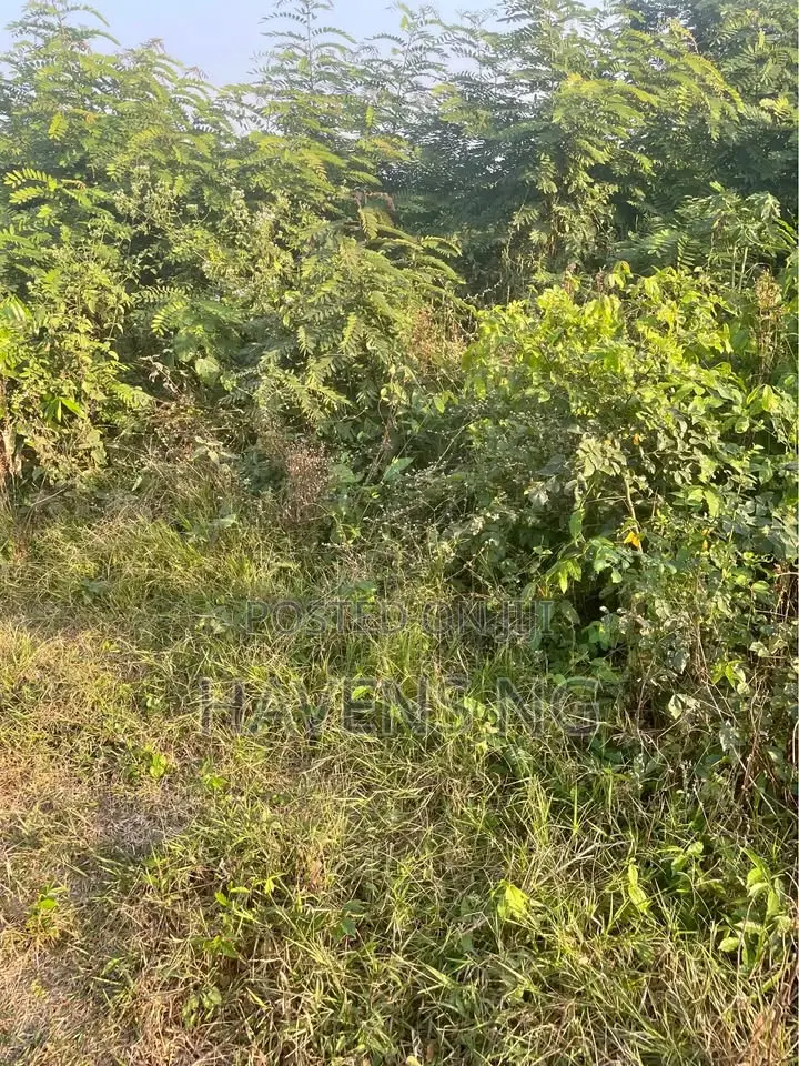 Full Plot of Land ,Olodo in Egbeda / Egbeda