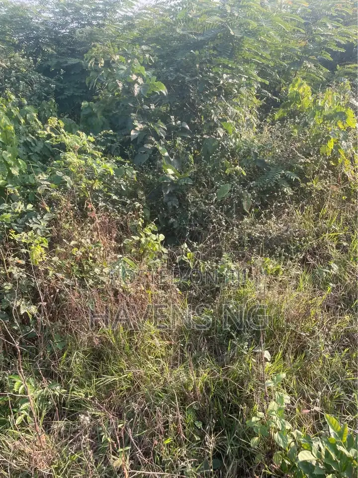 Full Plot of Land ,Olodo in Egbeda / Egbeda