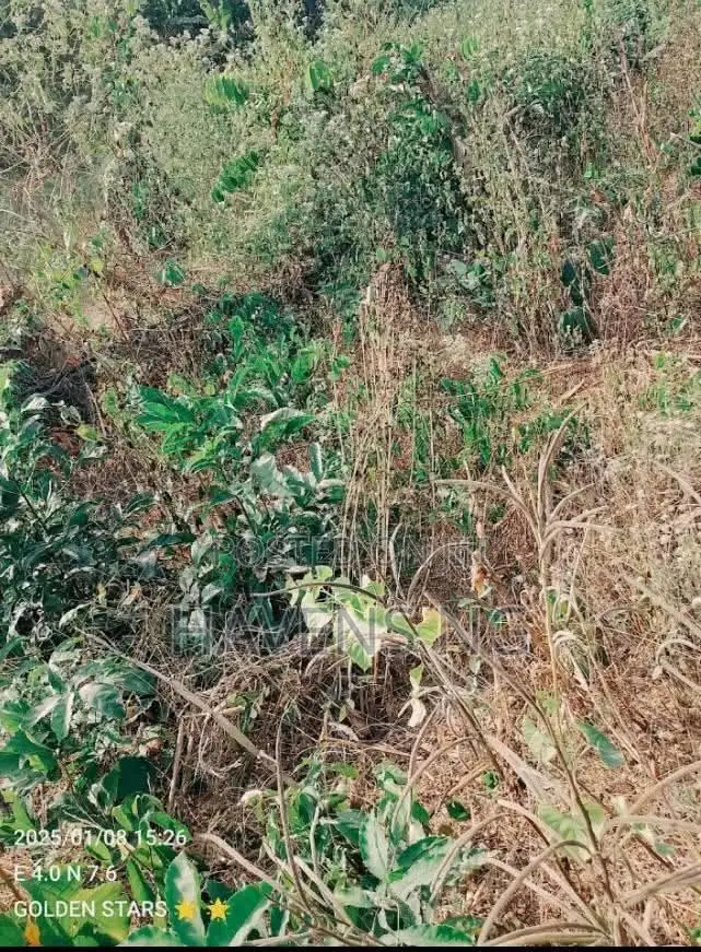 2 Plots of Land for Sale at Arulogun in Akinyele