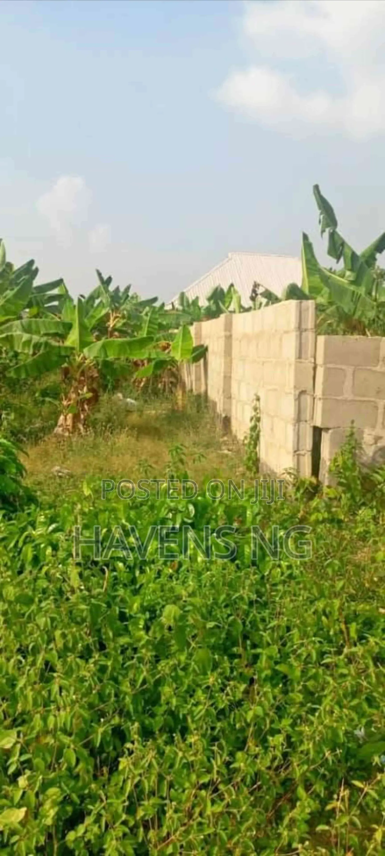 Relocation / Investment Offer in Ibeshe / Ikorodu