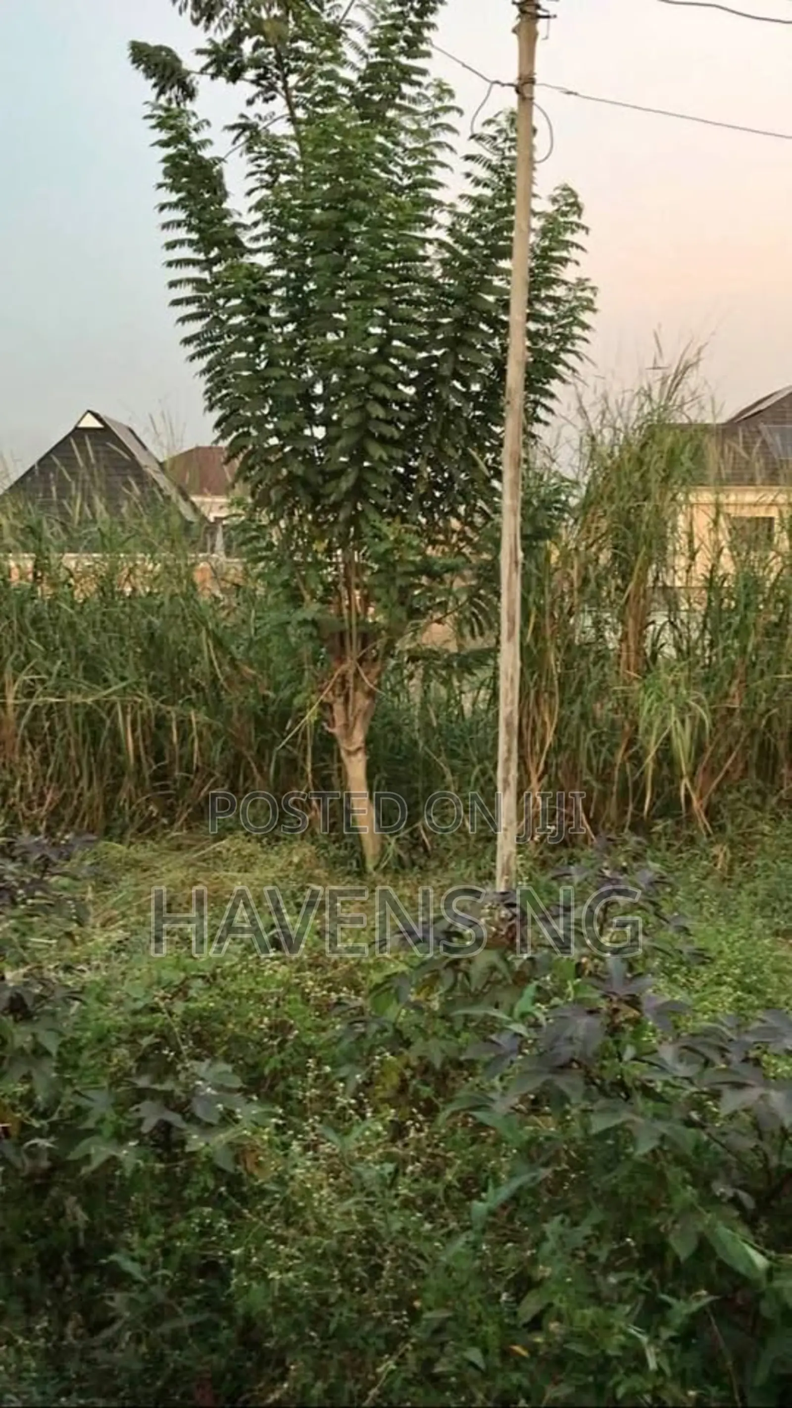 Relocation / Investment Offer in Ibeshe / Ikorodu