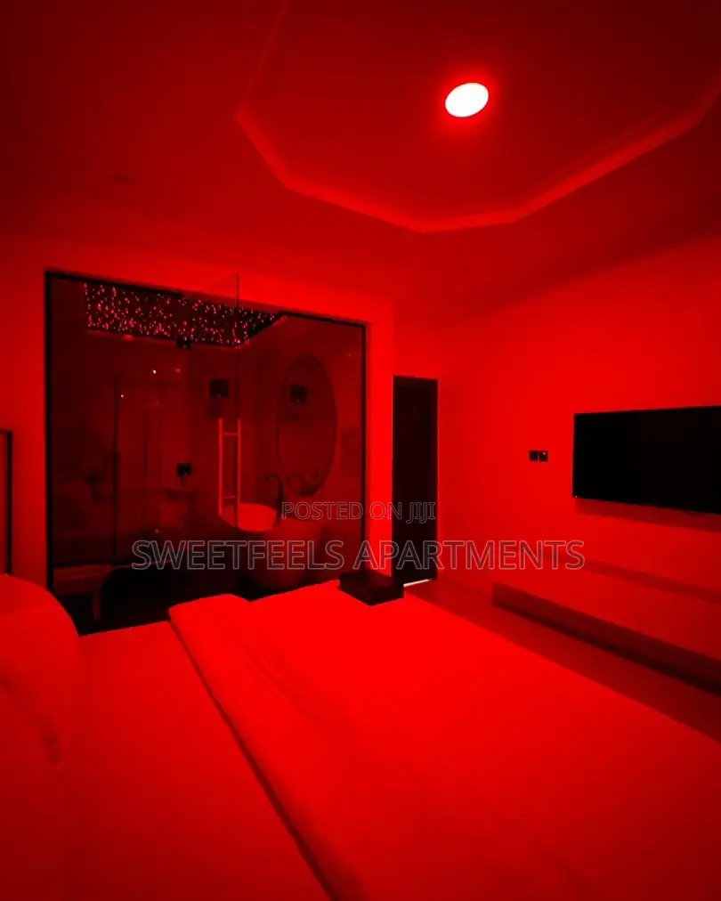 Venice Deluxe 1 Bedroom Apartment in Osapa london