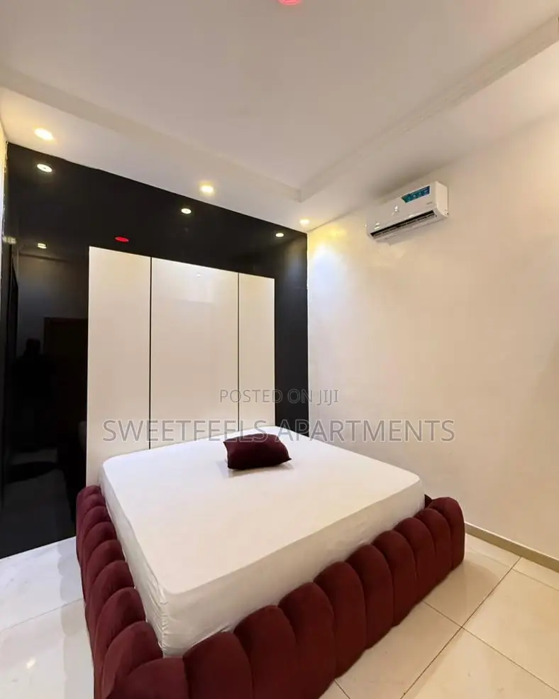 Paris Deluxe 1 Bedroom Apartment in Osapa london