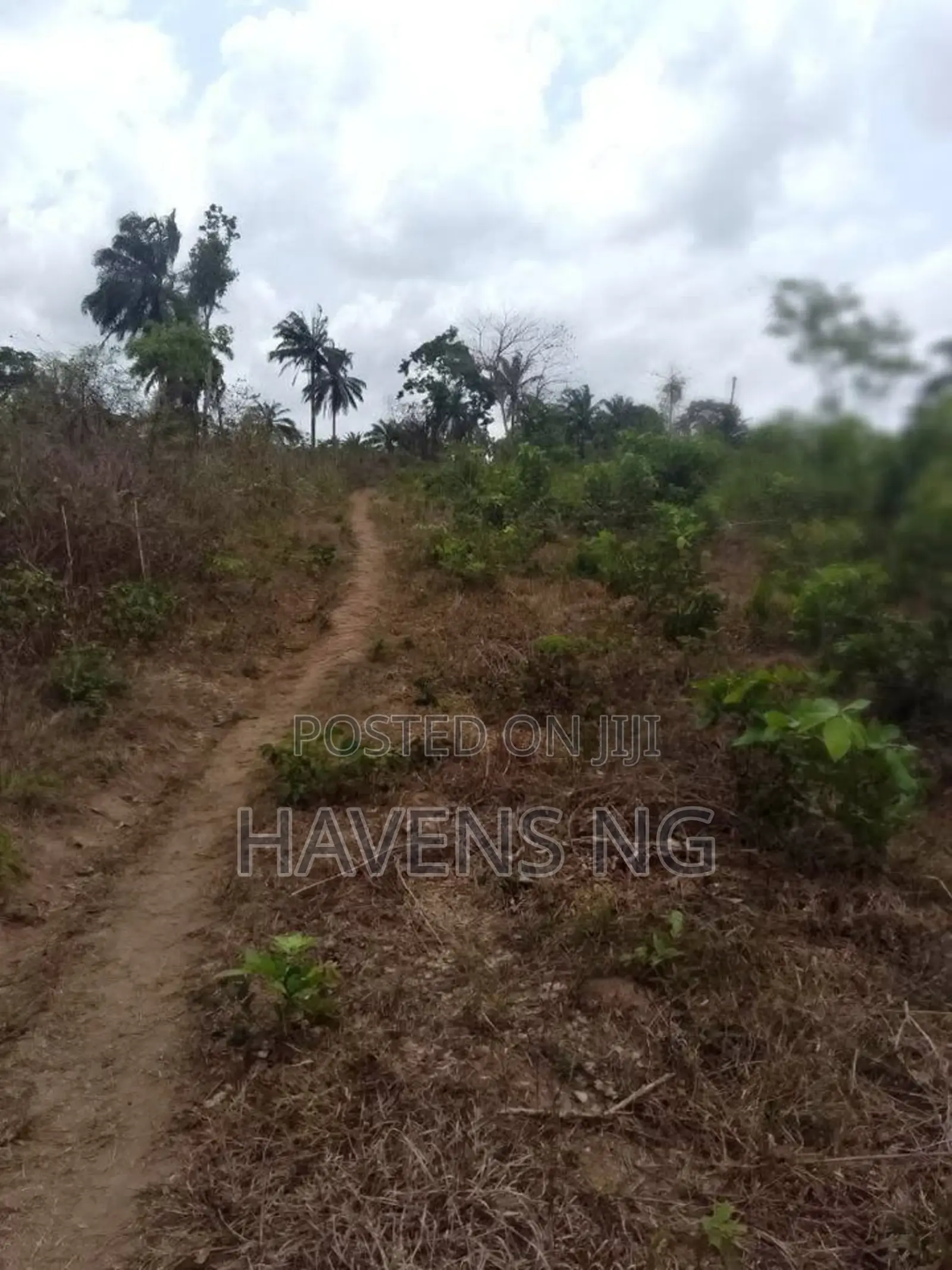 Farmland for Sale in Elere in Eruwa