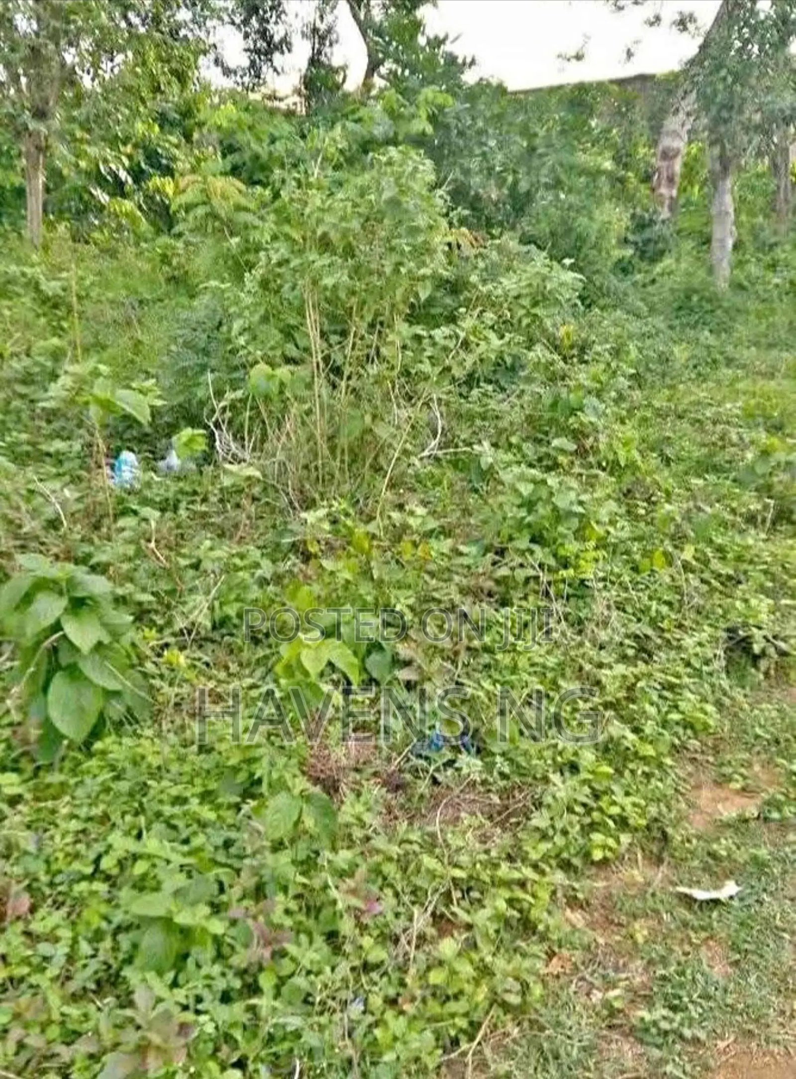 For Sale: 1 Acre of Land in Epe Road