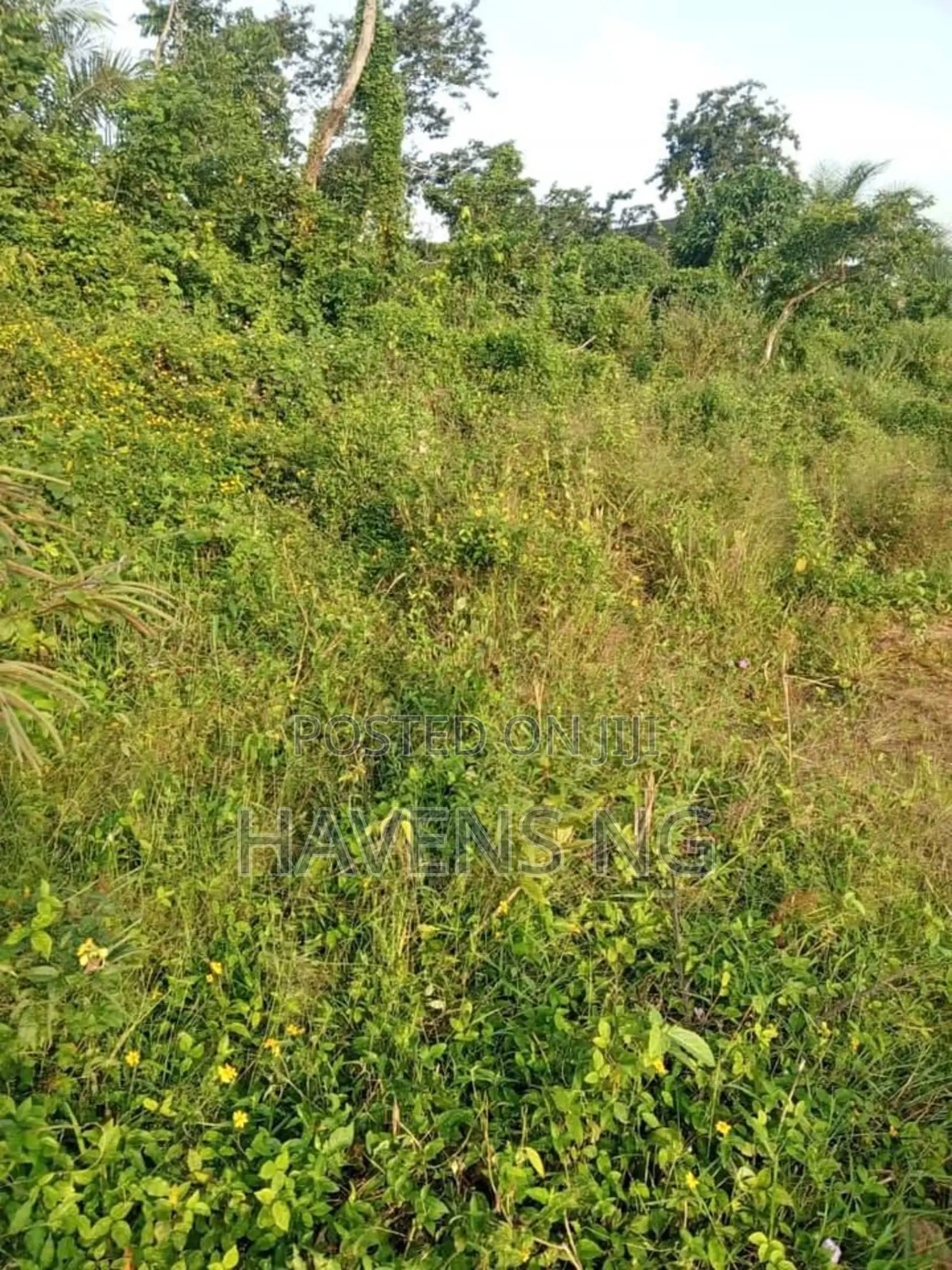 For Sale: 1 Acre of Land in Epe Road