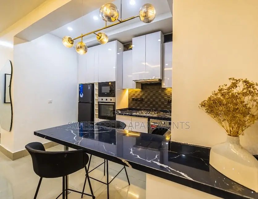 Luxurious 1 Bedroom Apartment in Lekki Phase 1