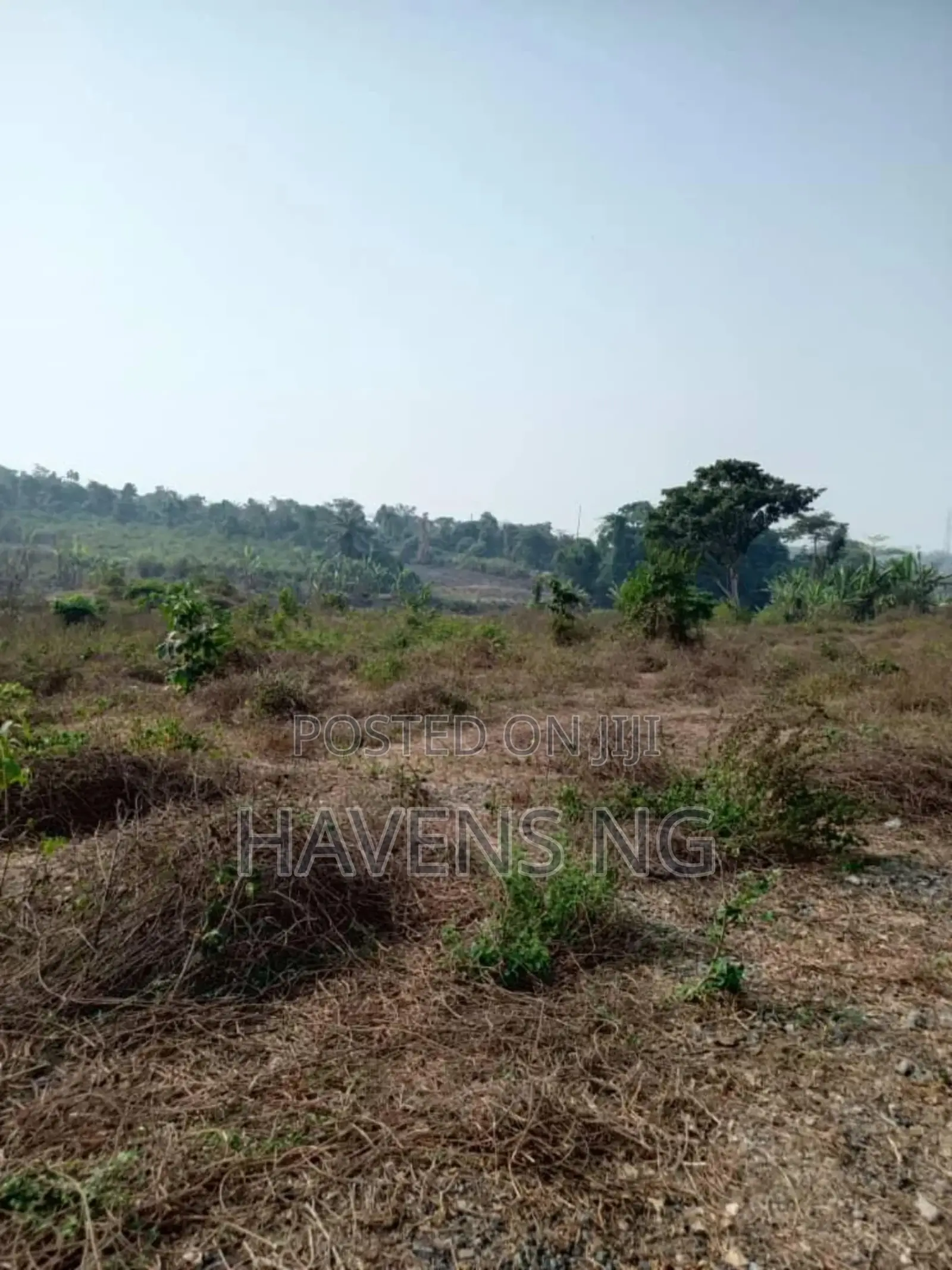 14671 Acres of Land for Sale Along Lagos Ibadan Expressway, Ibadan. in Oluyole