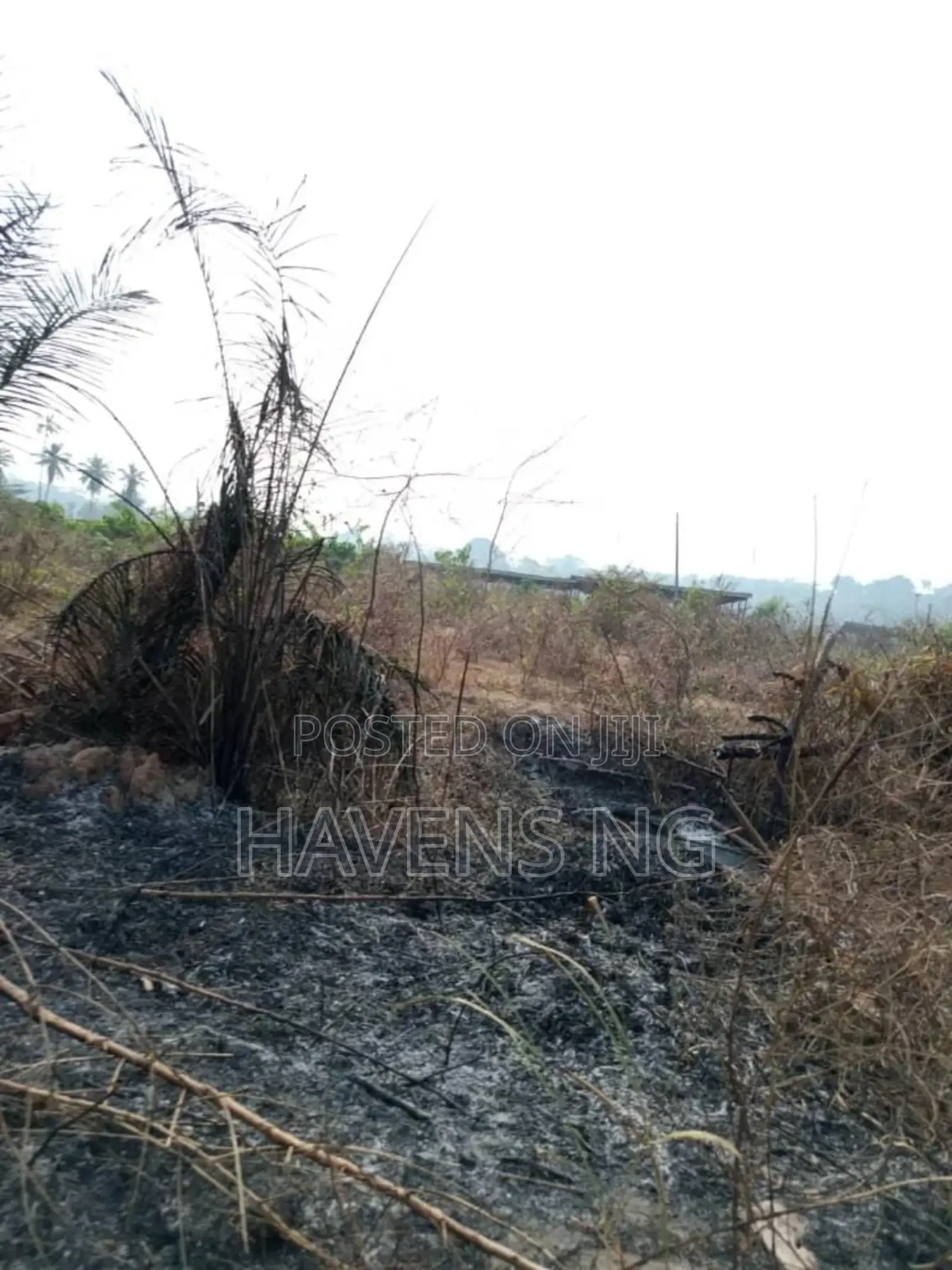 14671 Acres of Land for Sale Along Lagos Ibadan Expressway, Ibadan. in Oluyole