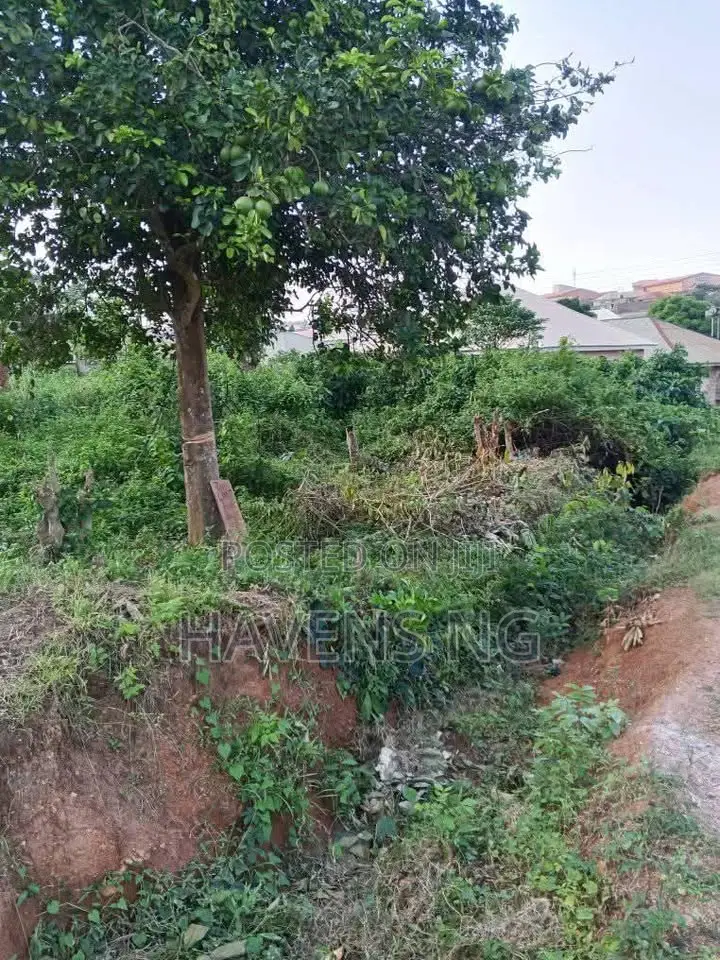 Two Plots of Land for Sale in Ibadan in Akobo