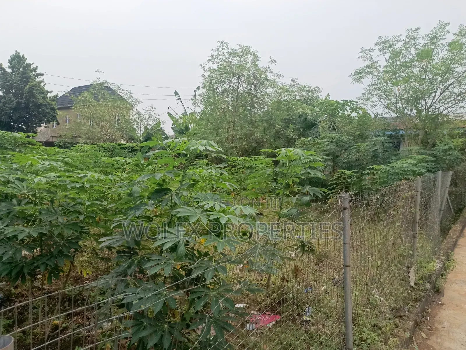 Square Half Plot of Land at Apata Ayobo in Ayobo
