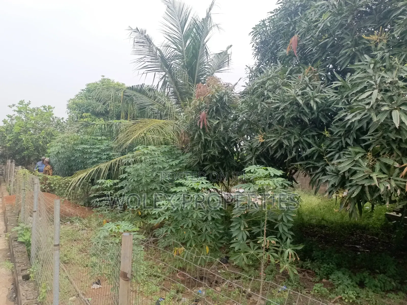 Square Half Plot of Land at Apata Ayobo in Ayobo