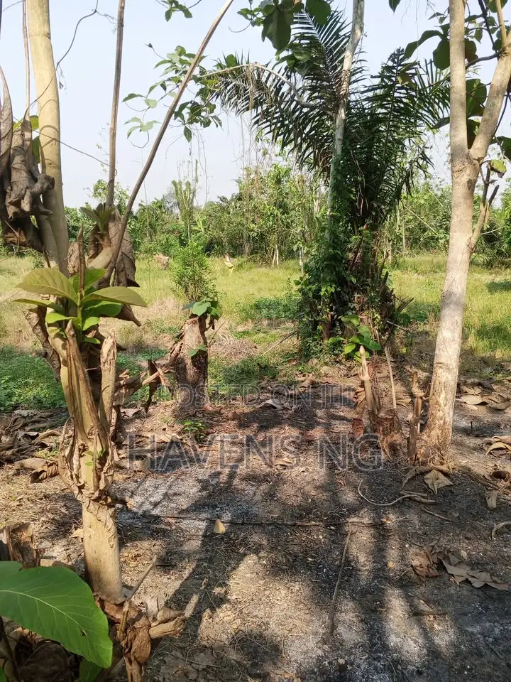 Acres of Land for Sale in Ibadan in Ido