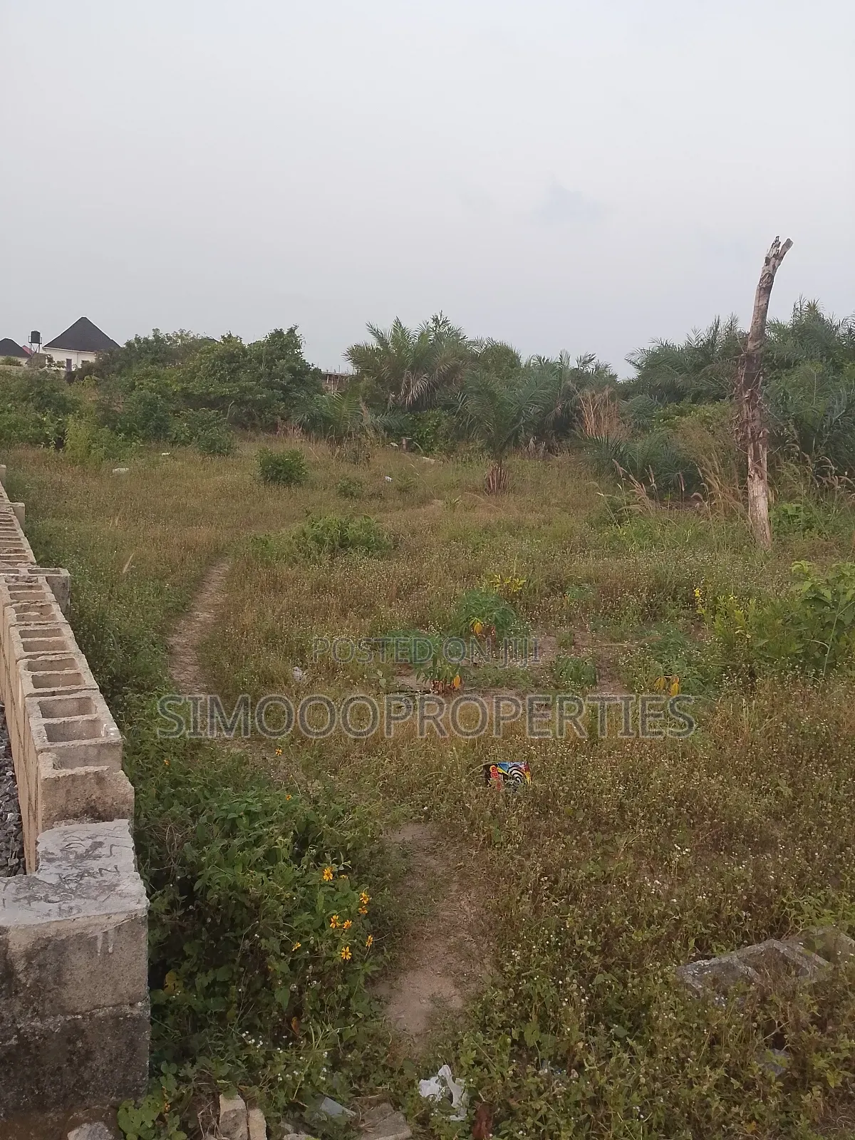 2 Plots of Land for Sale at Peace Estate Shangotedo in Epe