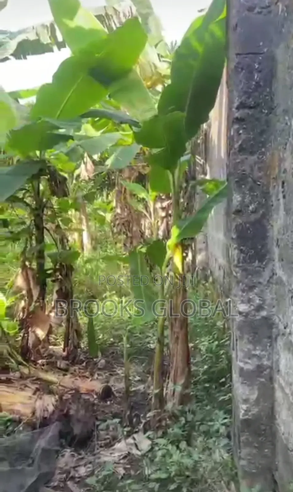 Half Acres of Land at Effurun Gra for Sale in Warri