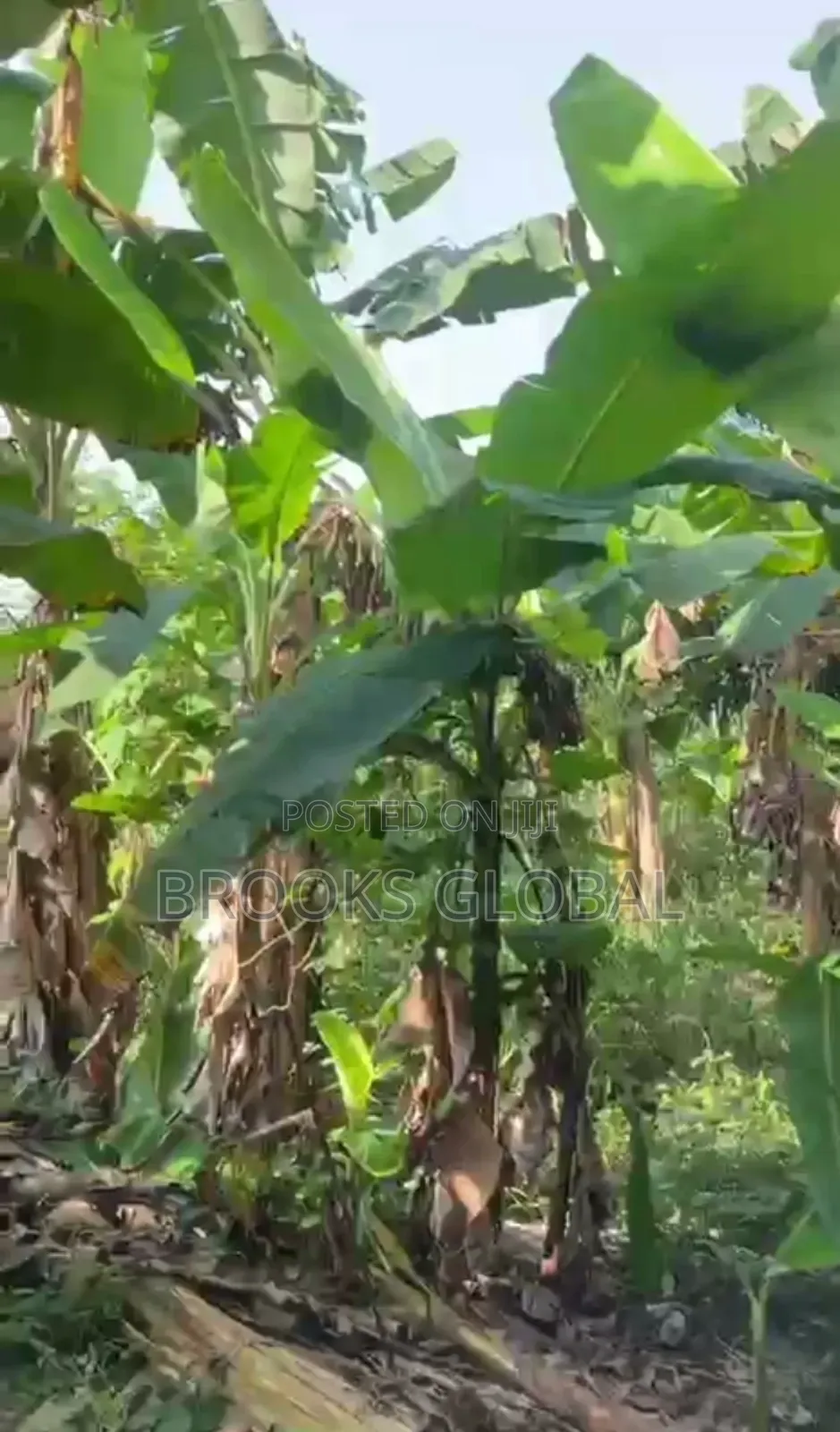 Half Acres of Land at Effurun Gra for Sale in Warri