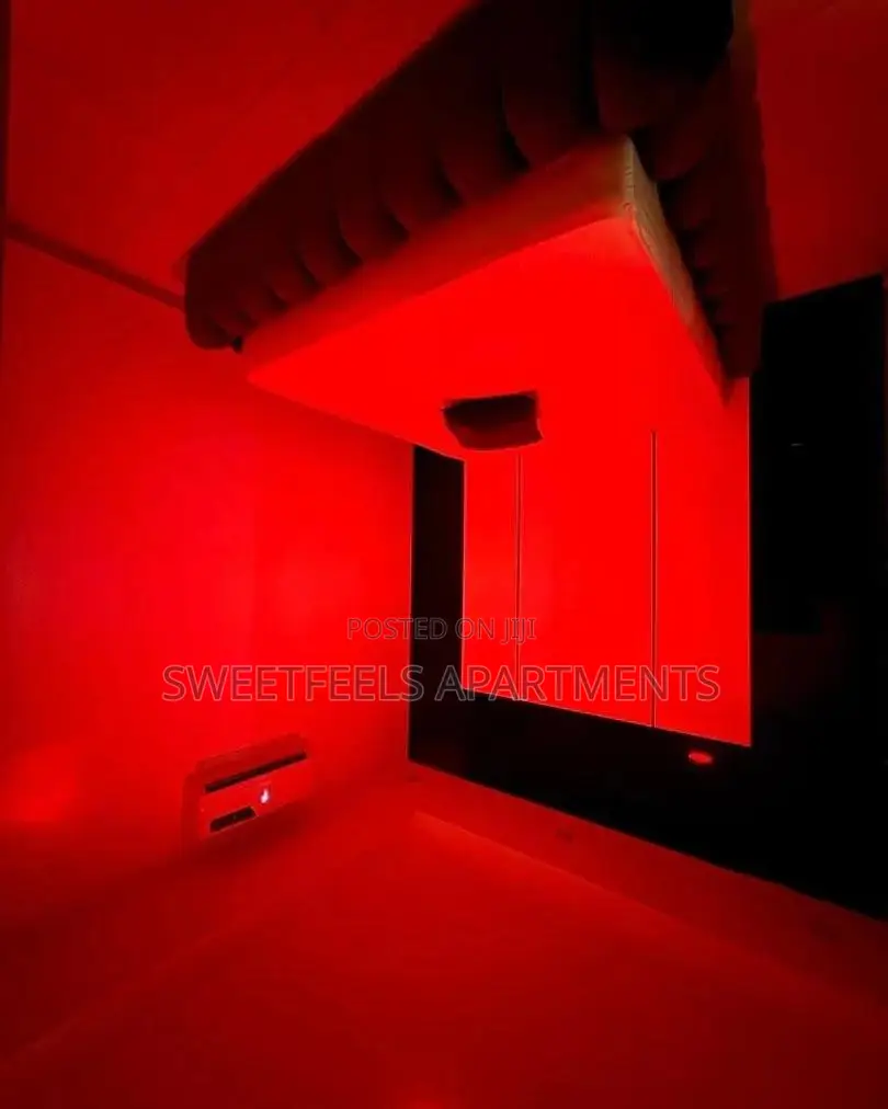 Paris Deluxe 1 Bedroom Apartment in Osapa london