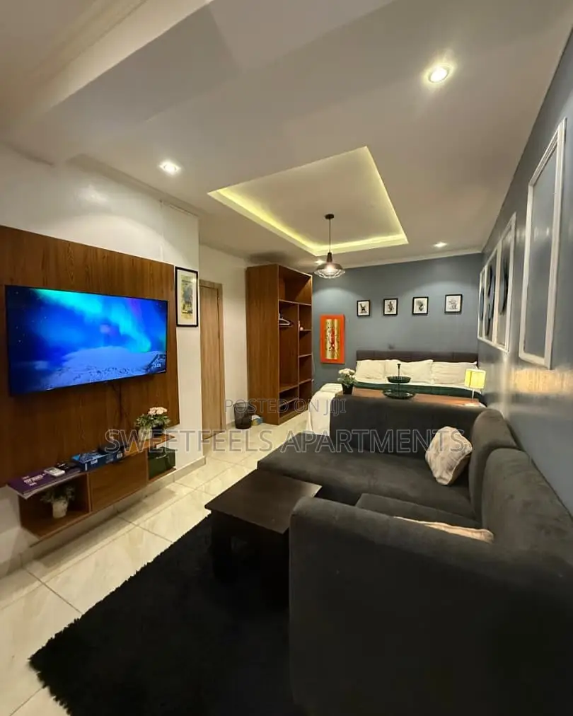 3 Units of Luxury and Spacious Studio Apartment in Ikate