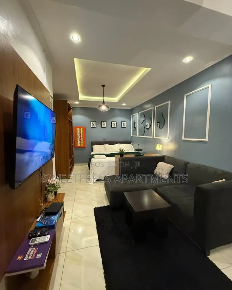 3 Units of Luxury and Spacious Studio Apartment in Ikate
