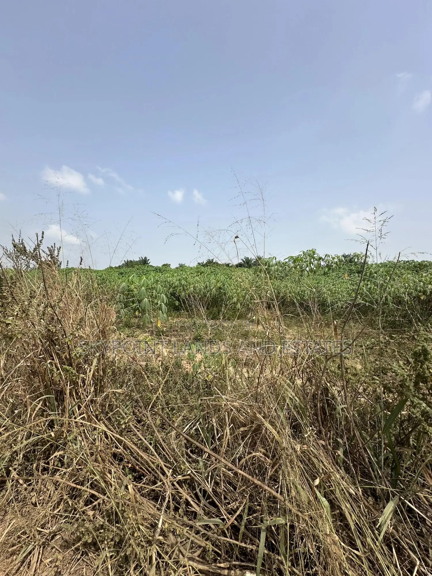 50 Acres Available at Okaka, Itesiwaju Local Government in Itesiwaju